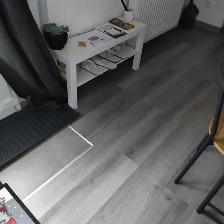 Le Nid Du Colibri Entier F1 A 5 Mn De Mulhouse *