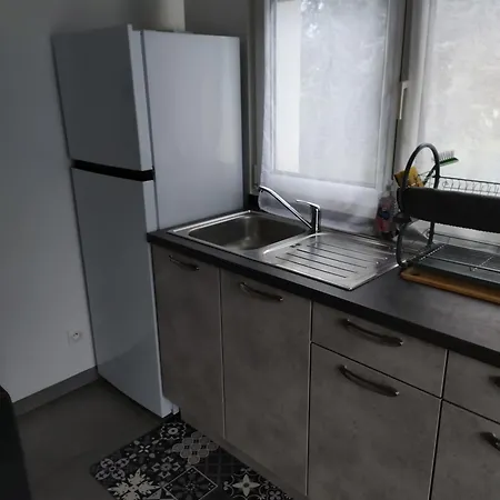 Le Nid Du Colibri Entier F1 A 5 Mn De Mulhouse