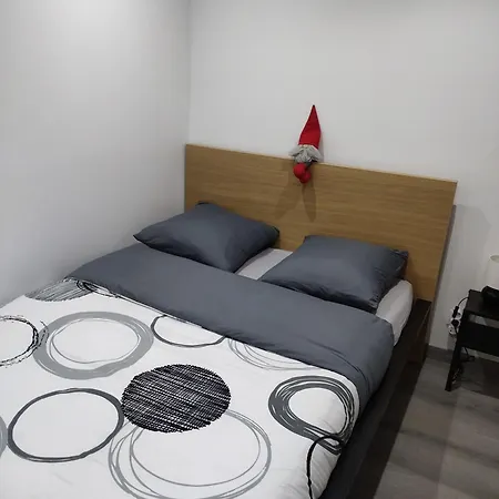 Le Nid Du Colibri Entier F1 A 5 Mn De Mulhouse *