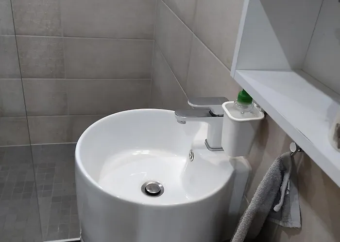 Le Nid Du Colibri Entier F1 A 5 Mn De Mulhouse *