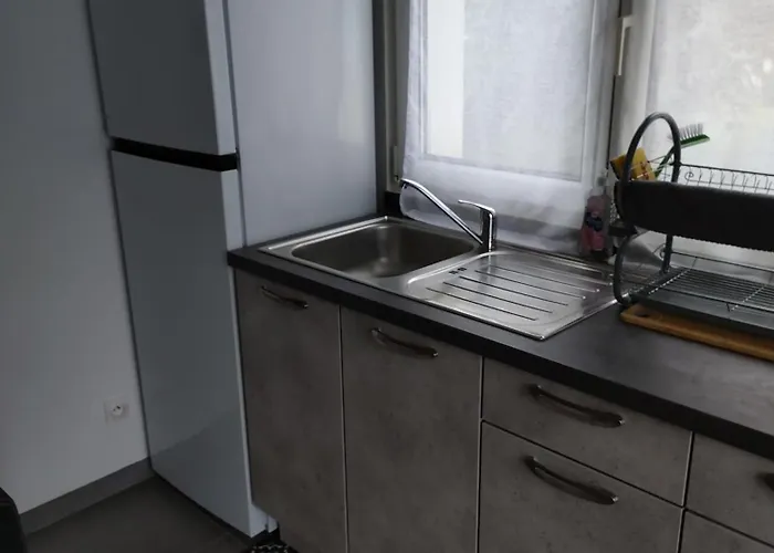 Le Nid Du Colibri Entier F1 A 5 Mn De Mulhouse