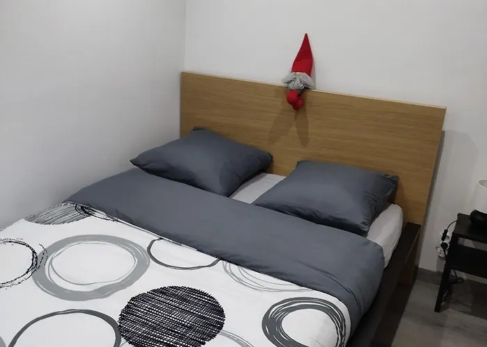 Le Nid Du Colibri Entier F1 A 5 Mn De Mulhouse *